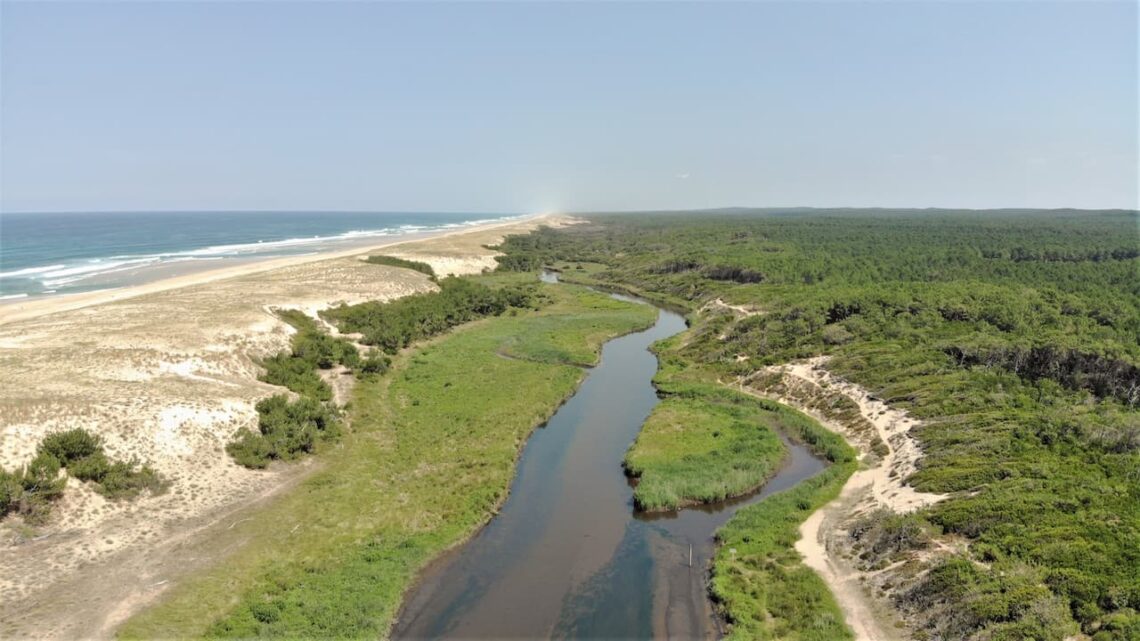 Les Landes, votre destination pour votre Séminaire