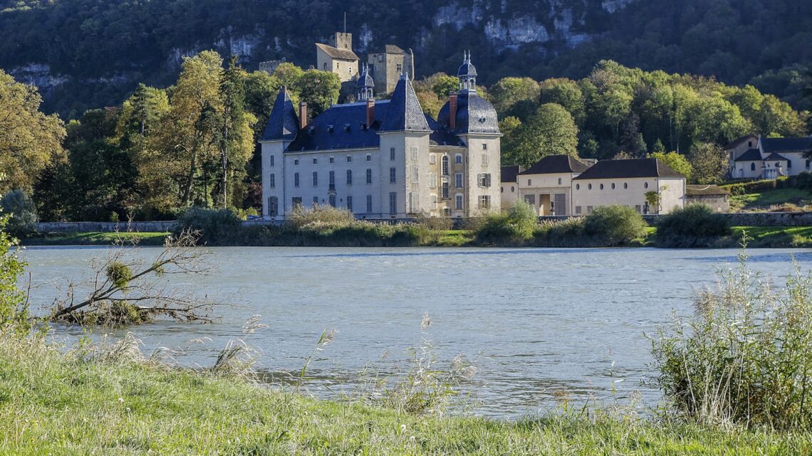 Pourquoi les thés et tisanes de l’Auvergne-Rhône-Alpes sont-ils un trésor à découvrir ?