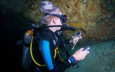 plongée sous-marine