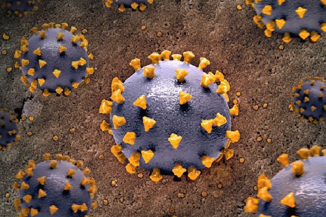 maladies infectieuses